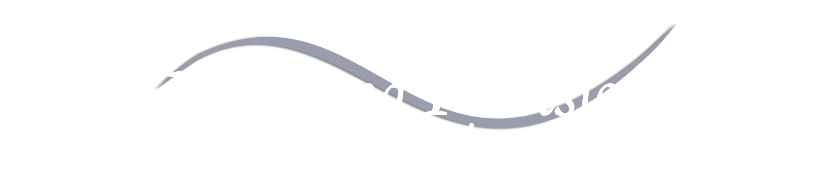 PRIDE AND PRECISION PIANO SERVICE